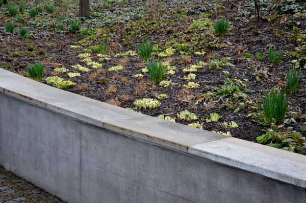 Concrete Wall Construction in Sterling