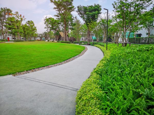 Cement Walkway Service in Sterling