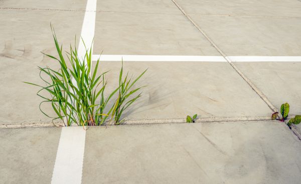 Concrete Parking Installation in Sterling
