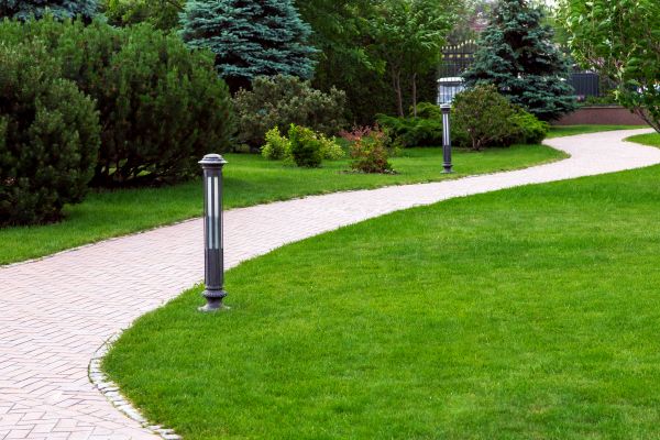 Backyard Sidewalk Installation in Sterling